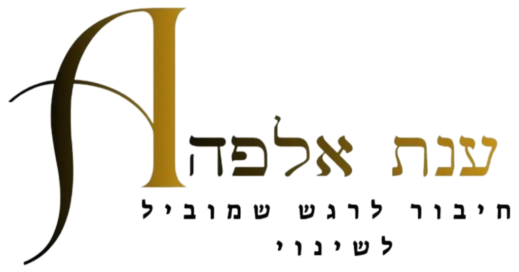 לוגו חדש